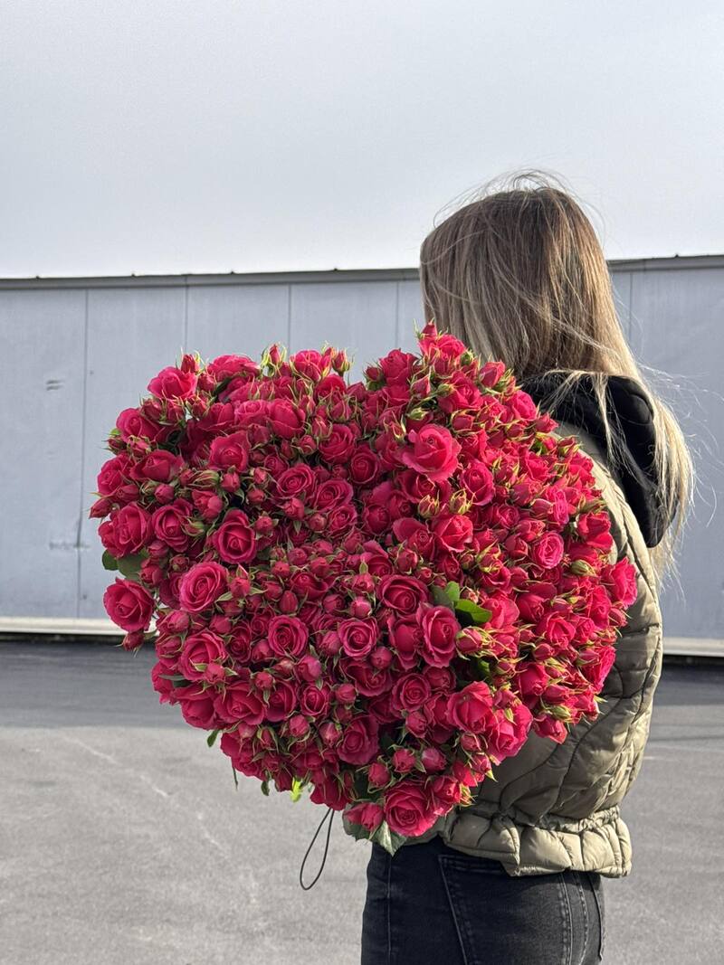 Гілкова троянда "Ред Алексін"