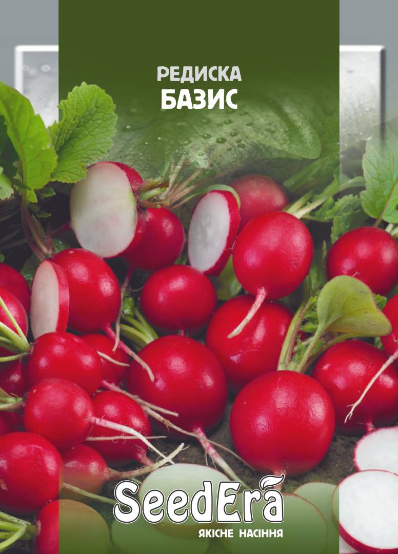 Насіння Редиска БАЗИС, 20 г