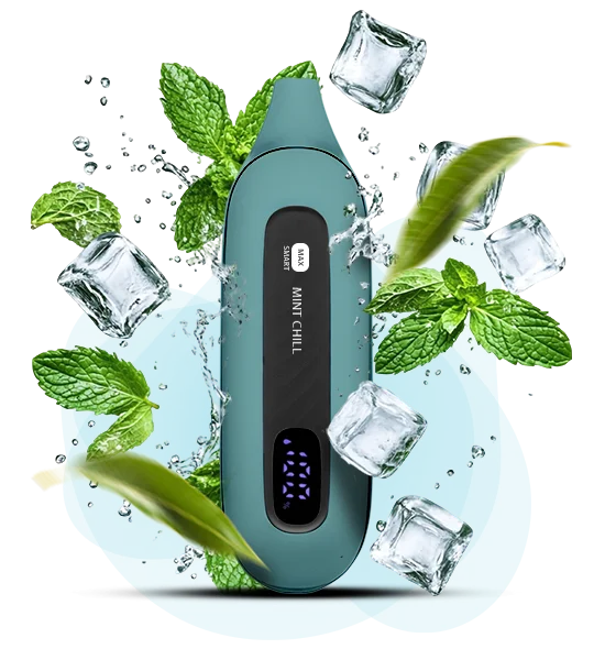 FLONQ FLONQ MAX SMART 12000 Mint Chill ( Свіжа м'ята )
