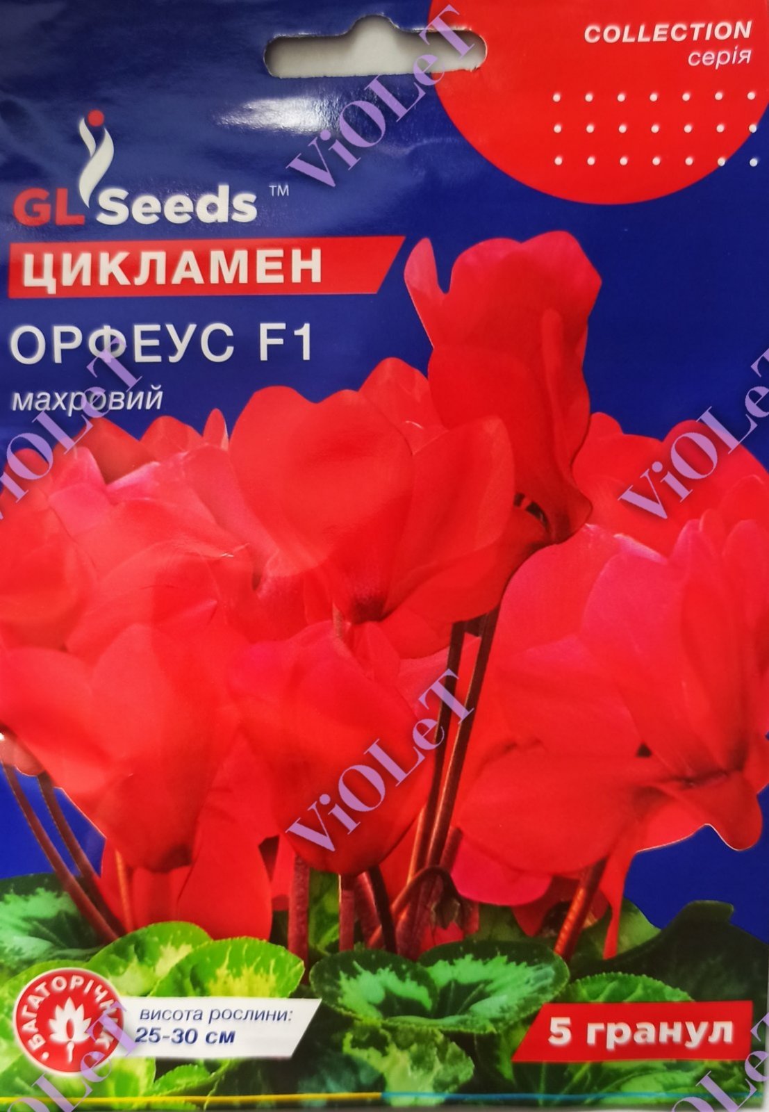 Цикламен Орфеус, F1, 5 шт. GL Seeds
