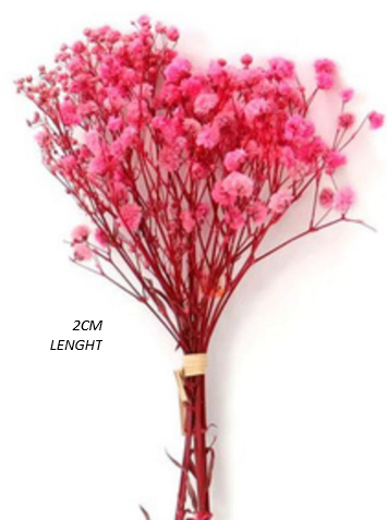 BABY BREATH (10gm) BUNCH
