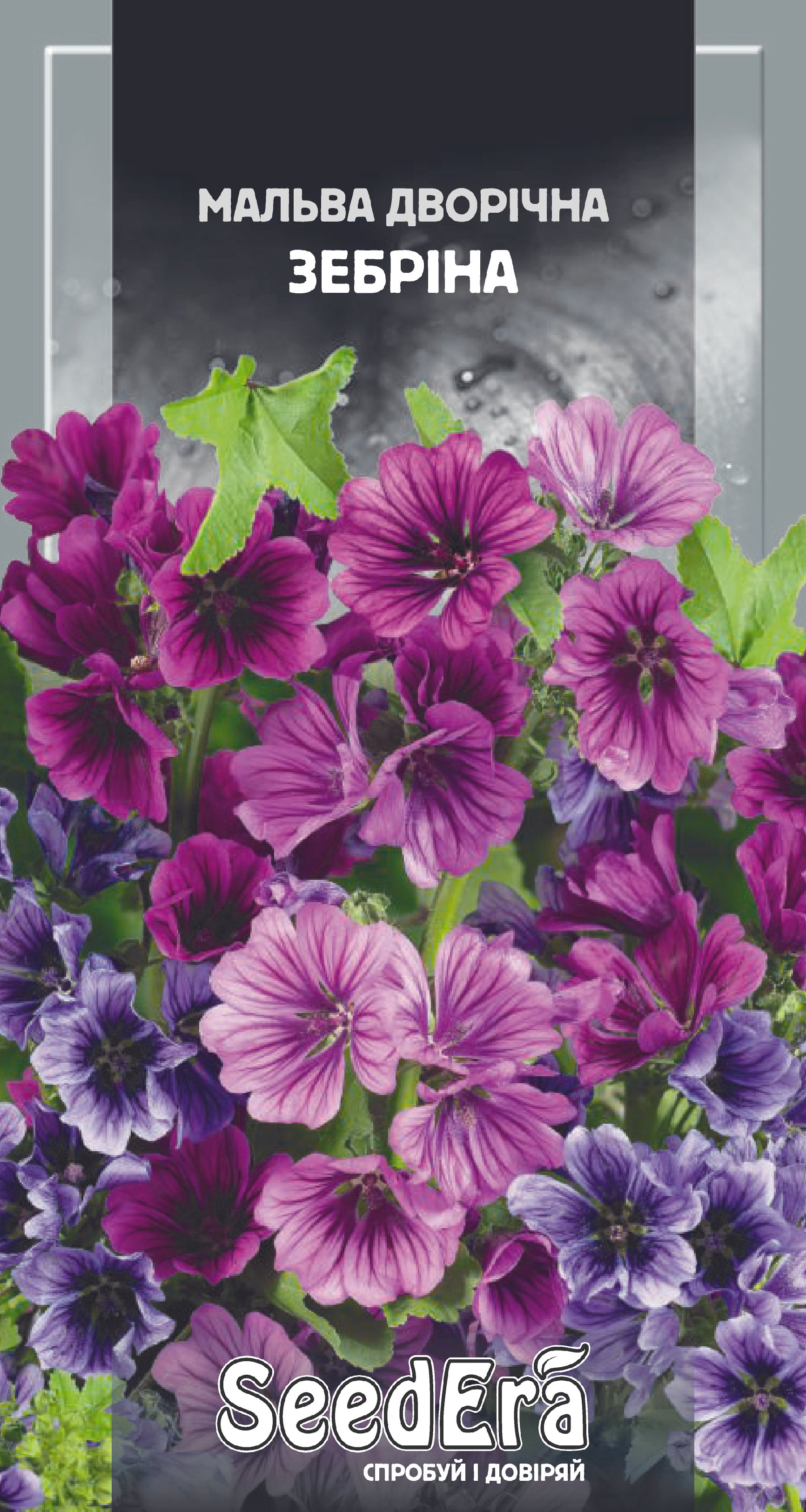 Насіння Квіти Мальва Зебріна двурічна, 0,2 г