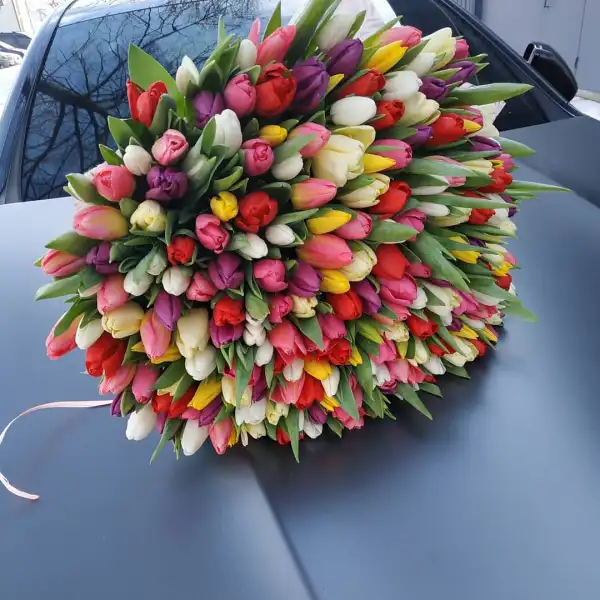 Букет з 151 різнокольорового тюльпана