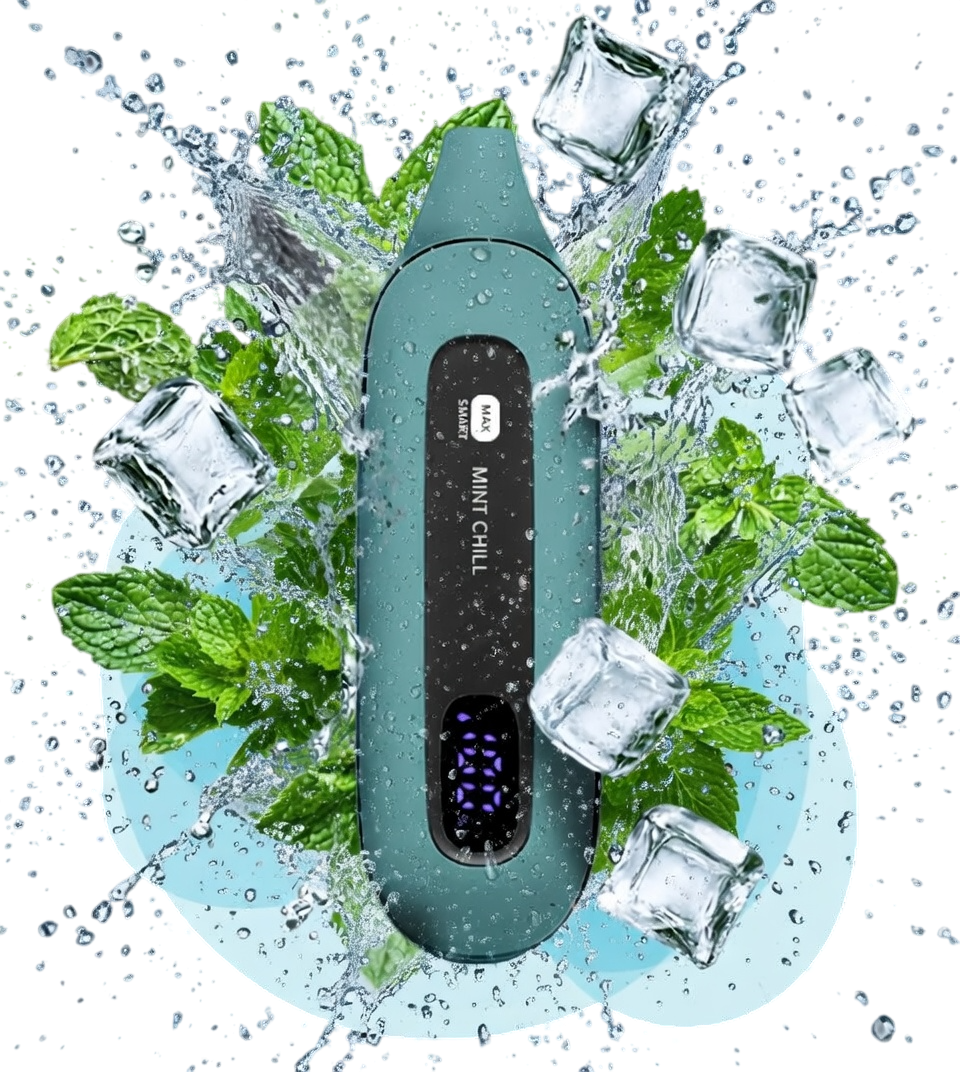 Флонк MAX SMART 12000 Mint Chill (Свіжа м'ята)