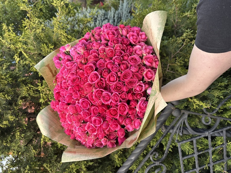 71 гілкова троянда "Ред Алексін"