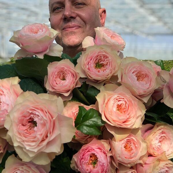 Блумсбері — Bloomsbury