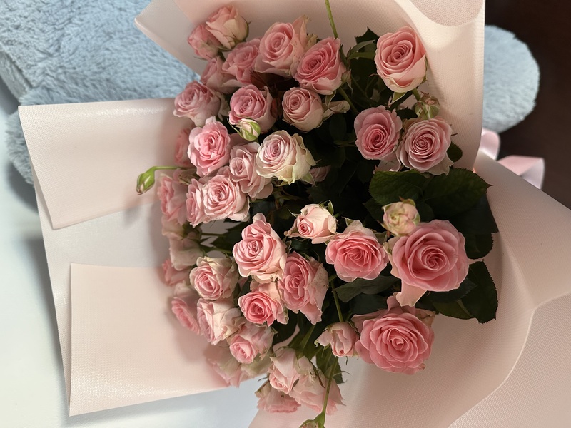 31 гілкова троянда "Гуд Муд"