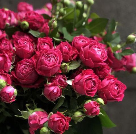 Марвелоус Баблз (Marvellous Bubbles)