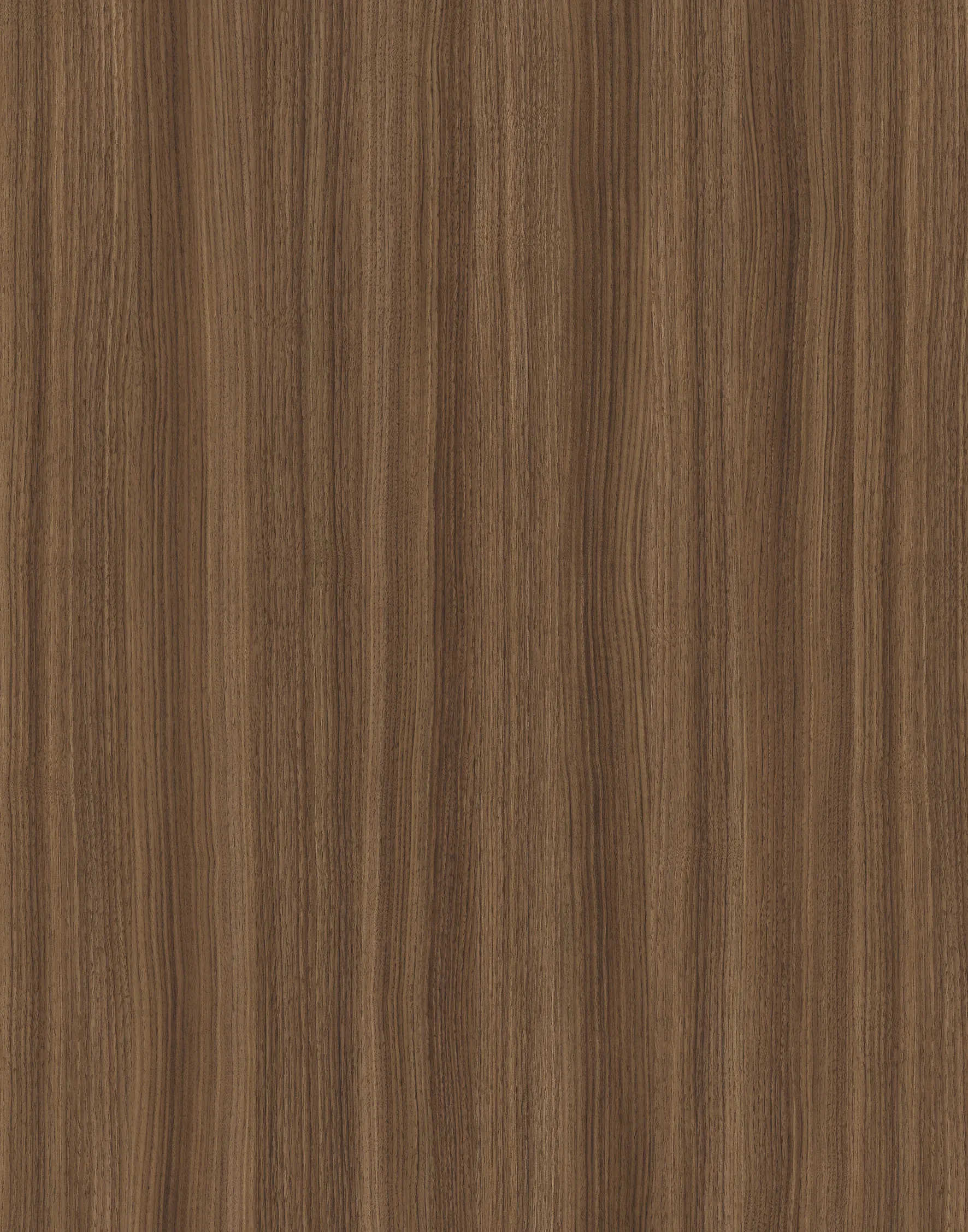 Горіх Франклін Карамельний