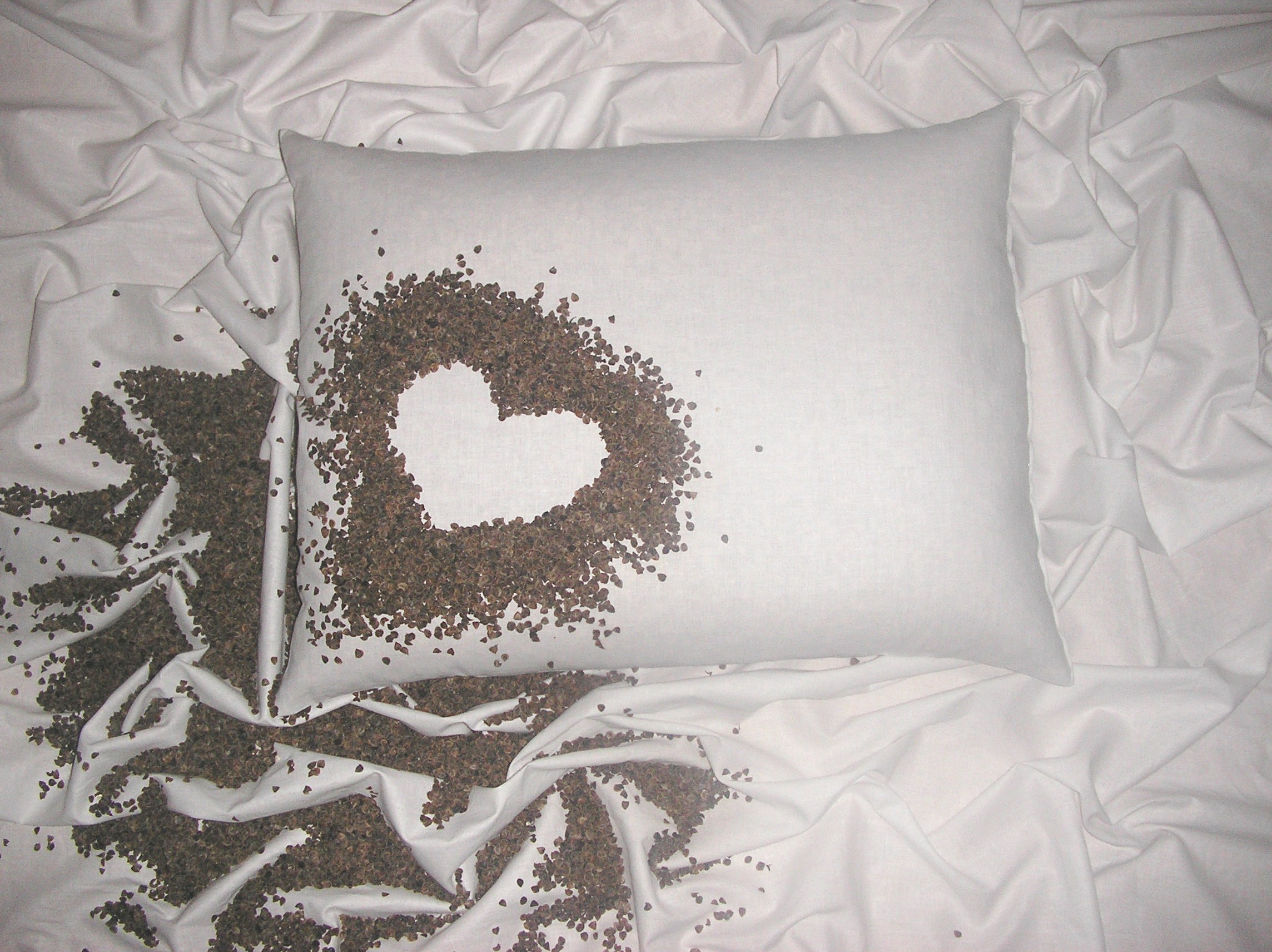 Pohánkový vankúš 40x60cm