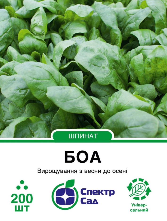 Шпинат Боа, 200 шт