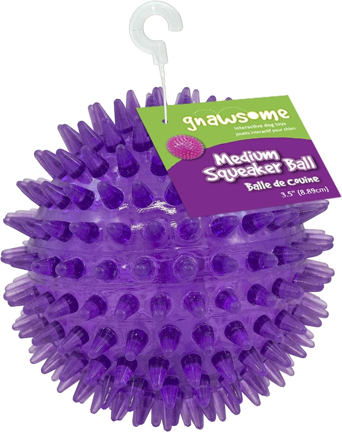 Gnawsome Medium Squeaker Ball Dog Toy, Medium 3.5