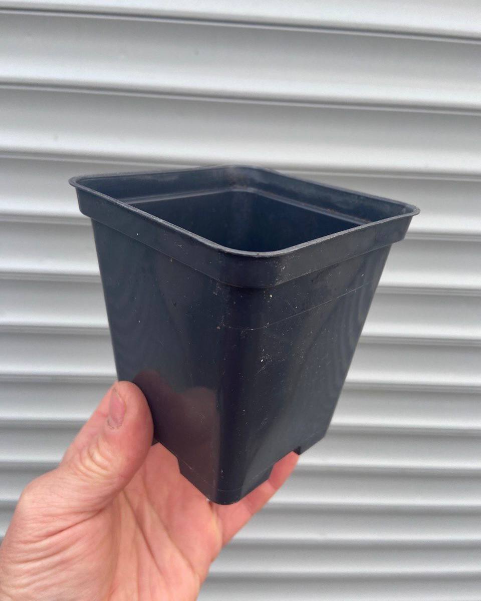 🌿 Горщик б/у P9  — квадратний