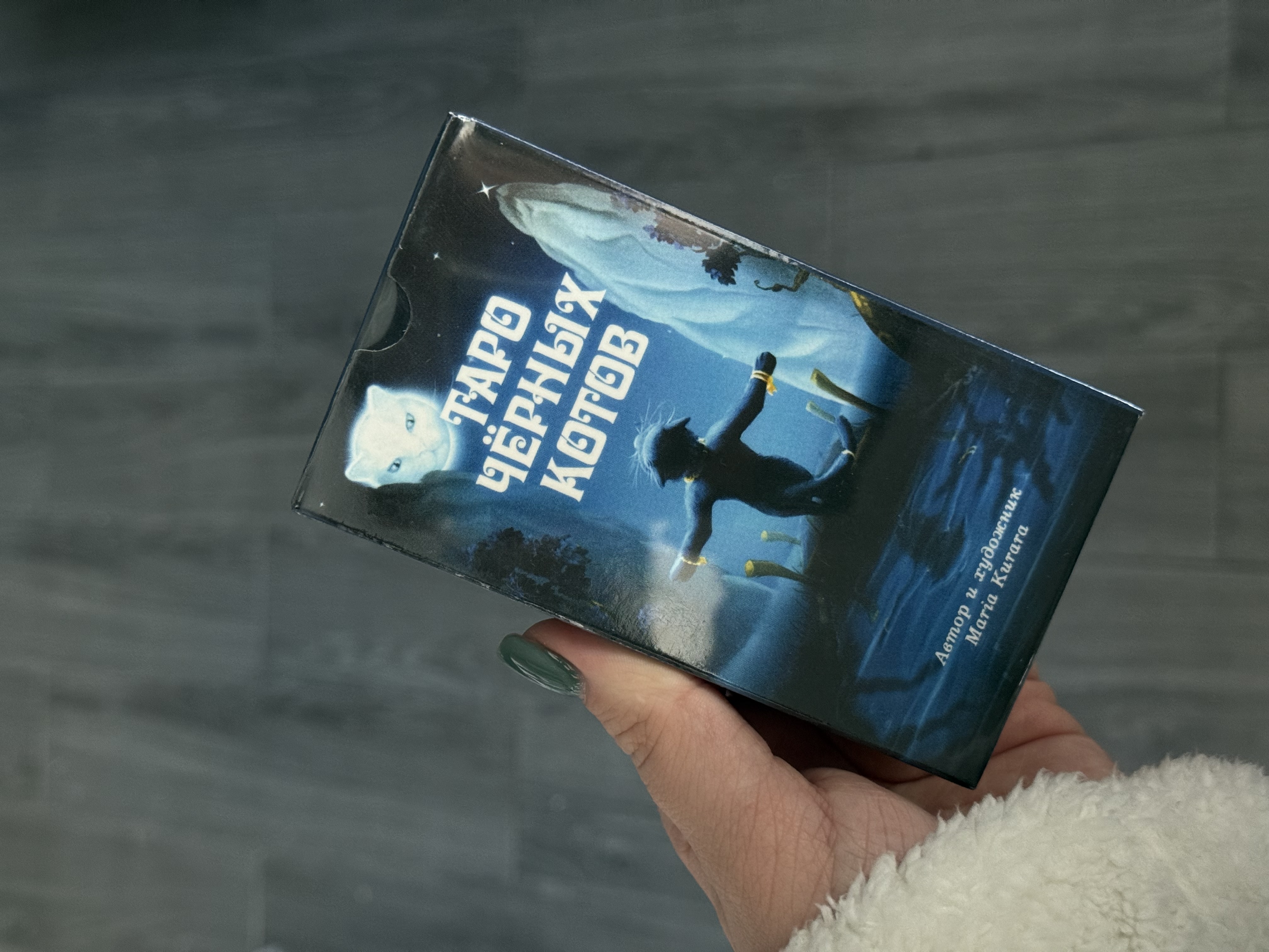 Таро «Чорних котів»