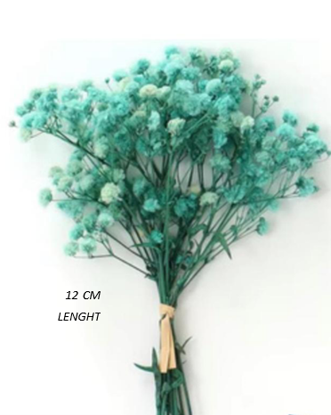 LIGHT BLUE (10gm) BABY BREATH DRY FLOWER