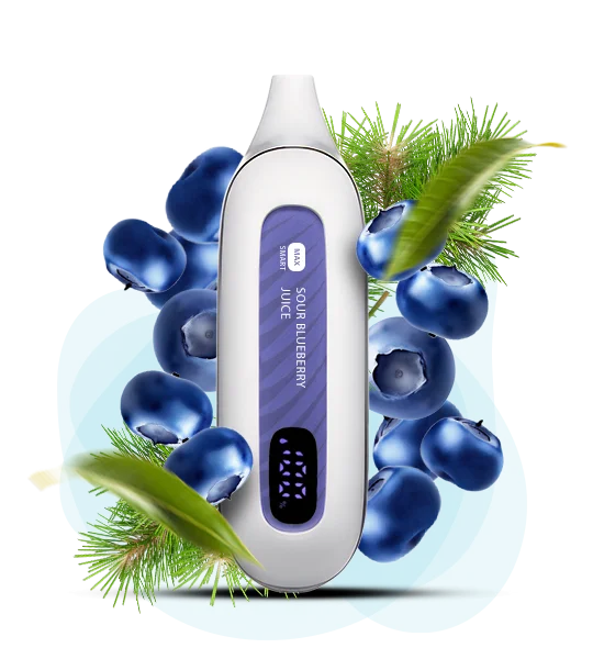 FLONQ MAX SMART 12000 Sour Blueberry Juice  ( Кисла соковита Чорниця  )