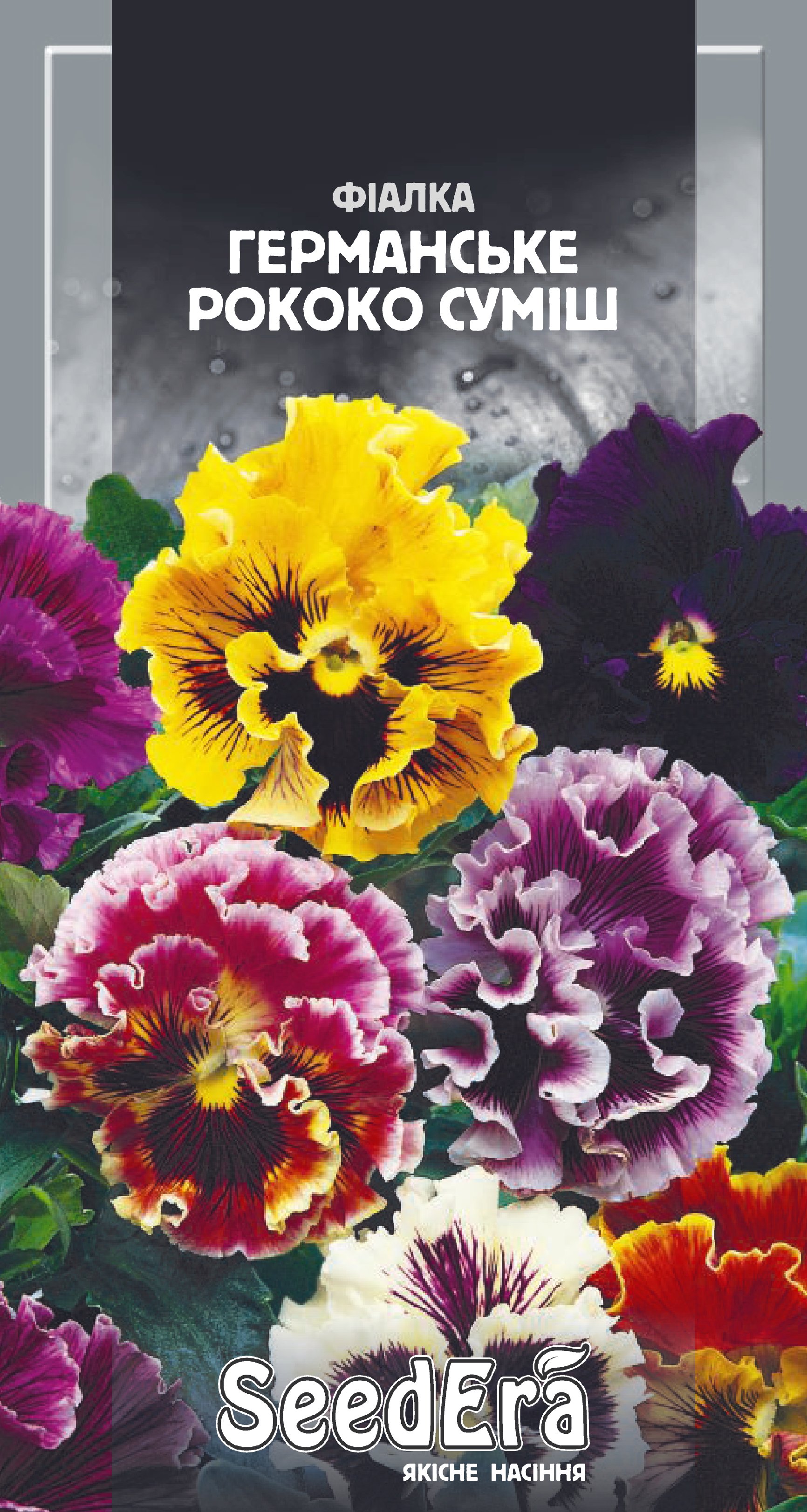 Hасіння Квіти Фіалка садова Германське Рококо суміш дворічна, 0,1 г