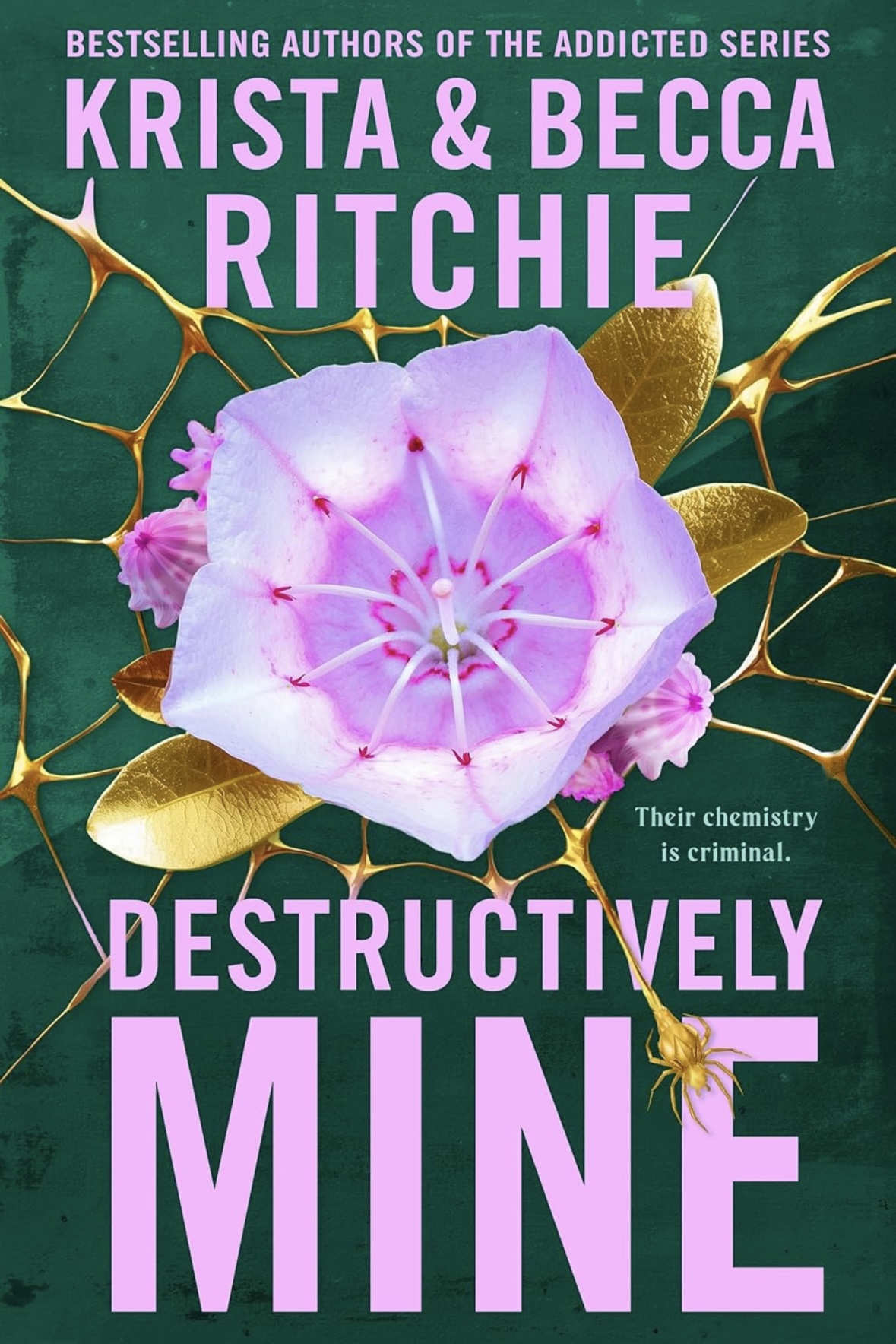 Destructively Mine Krista & Rebecca Ritchie