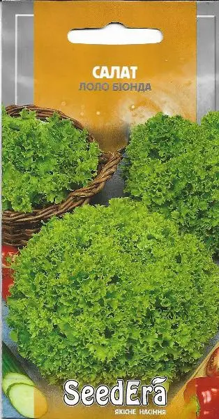 Салат ЛОЛО Біонда (листовий зелений) SEEDERA 10 г