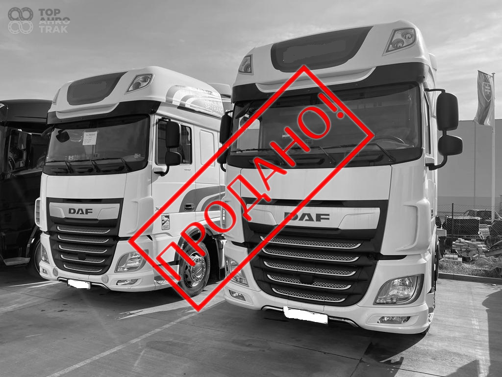 DAF XF 480 FT 2019