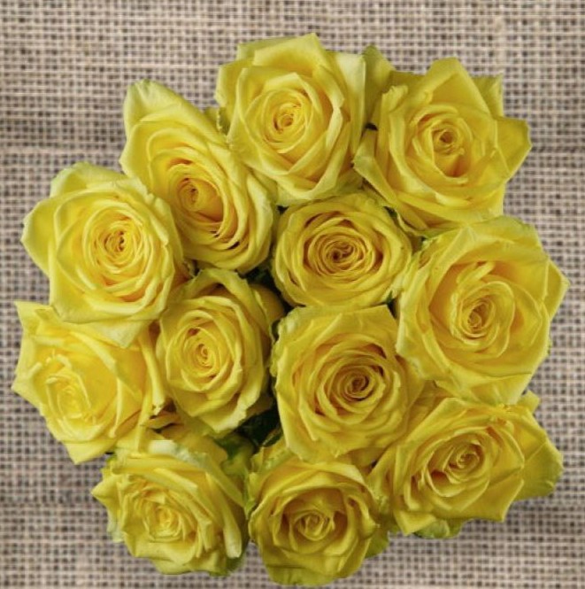 Стардуст (Sturdust)