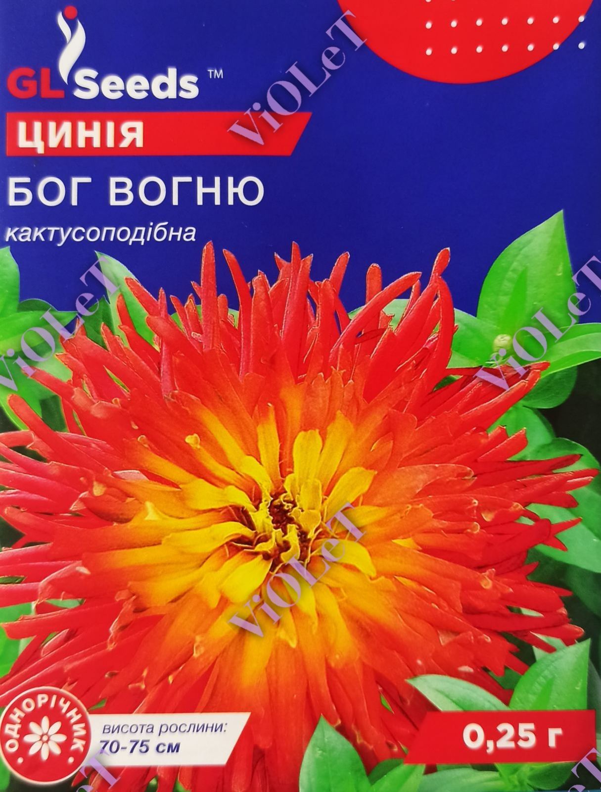 Цинія Бог Вогню кактусоподібна, 0,25 г GL Seeds