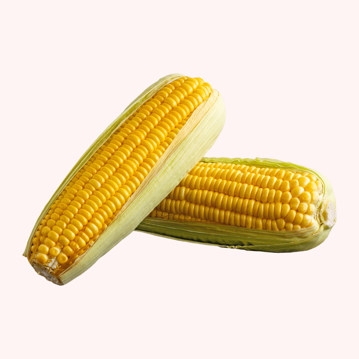 Elote Amarillo