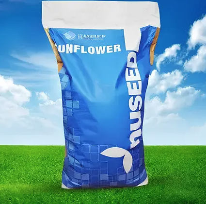 Насіння соняшнику Кобальт 2 Nuseed, насіння високоврожайного соняшнику Нусід