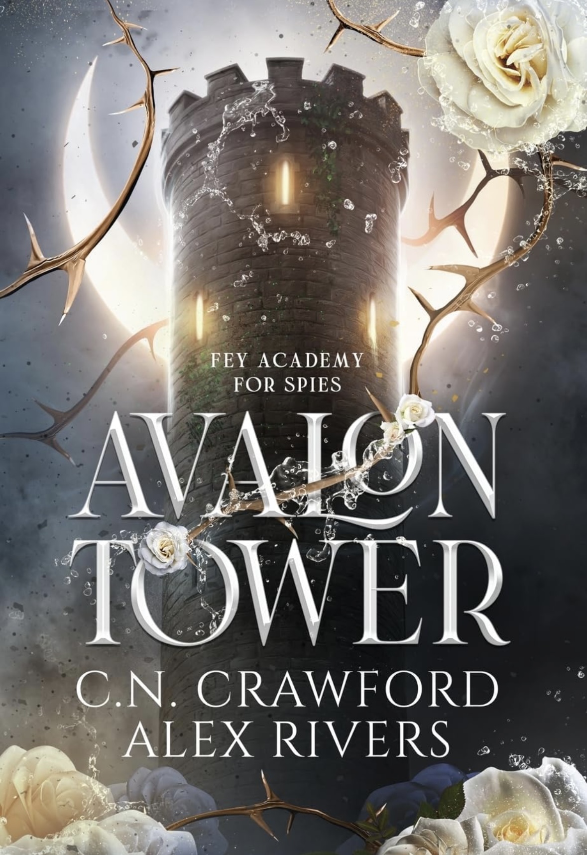 Avalon Tower C. N. Crawford book 1