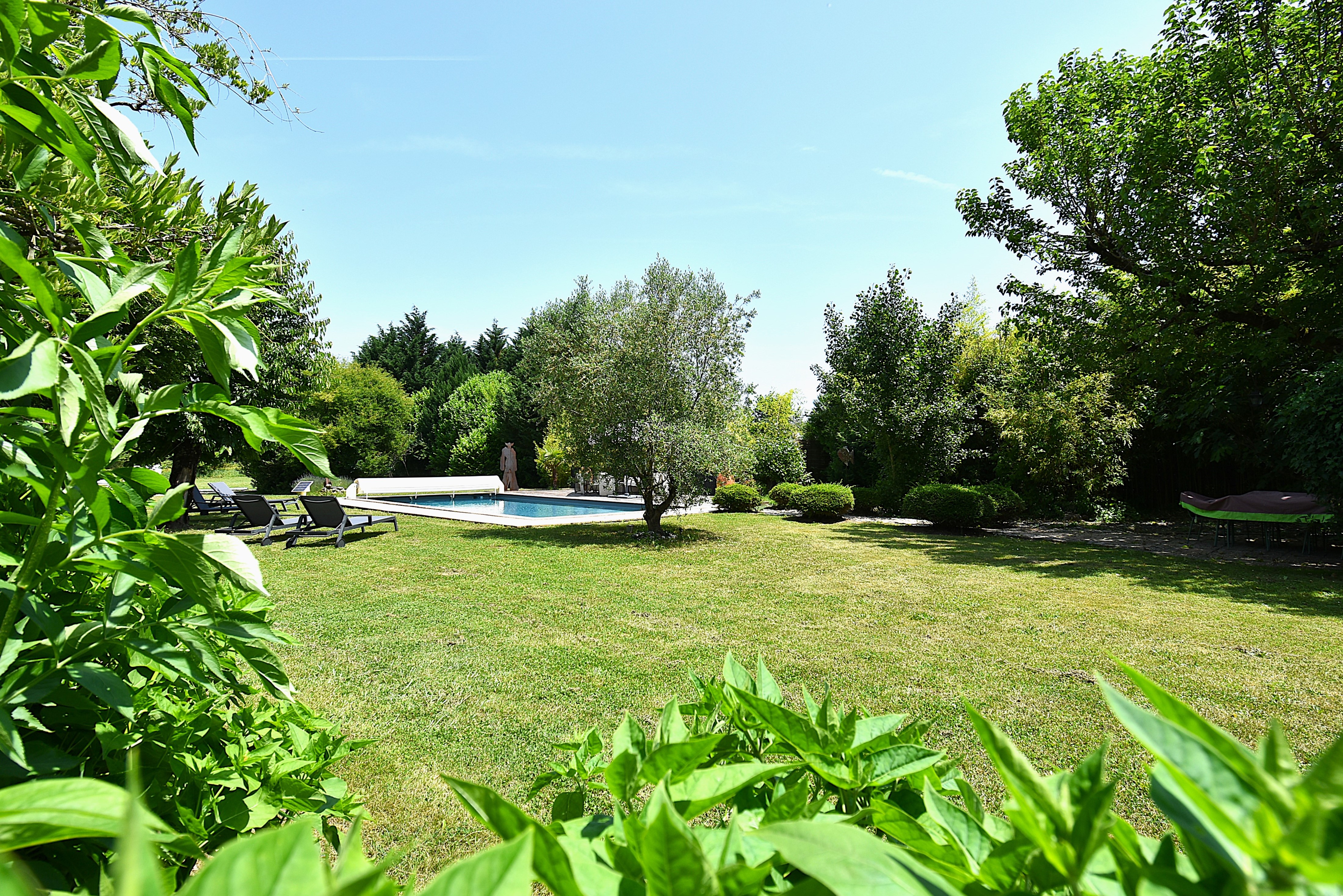 Bel ensemble immobilier en pierres avec piscine et parc