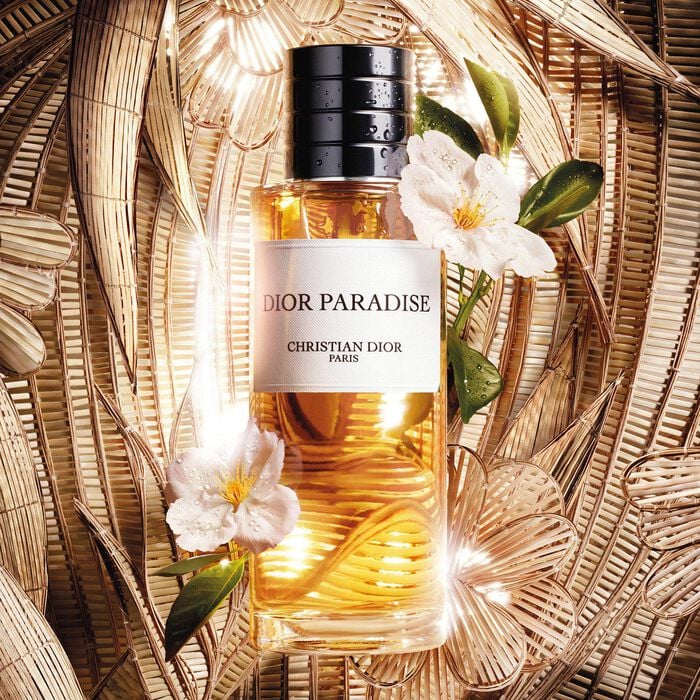 Dior Paradise