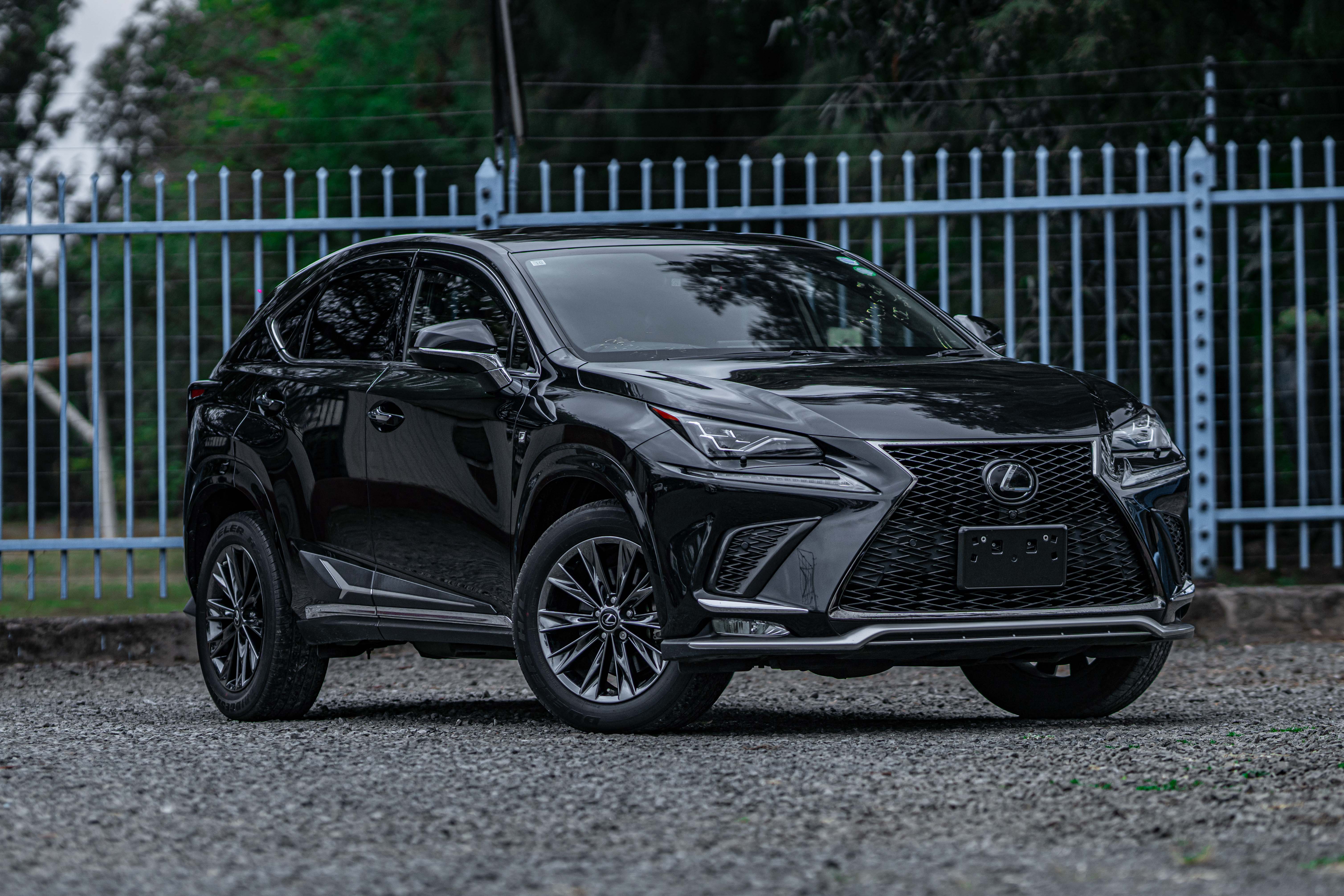 LEXUS NX300 F-SPORT