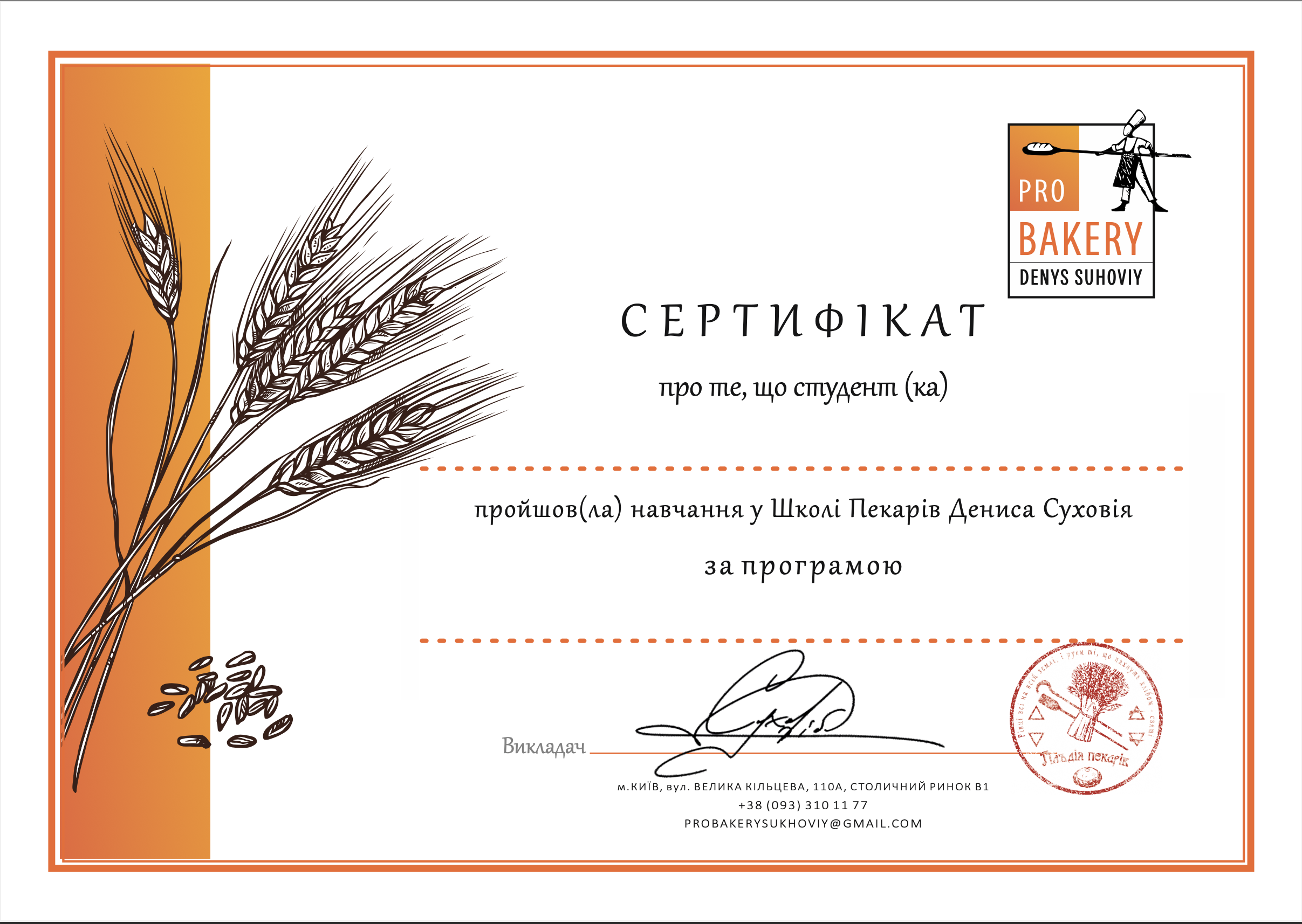 Комплекс видеокурсов (Все видеокурсы)