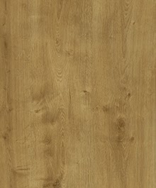 Дуб ліванський