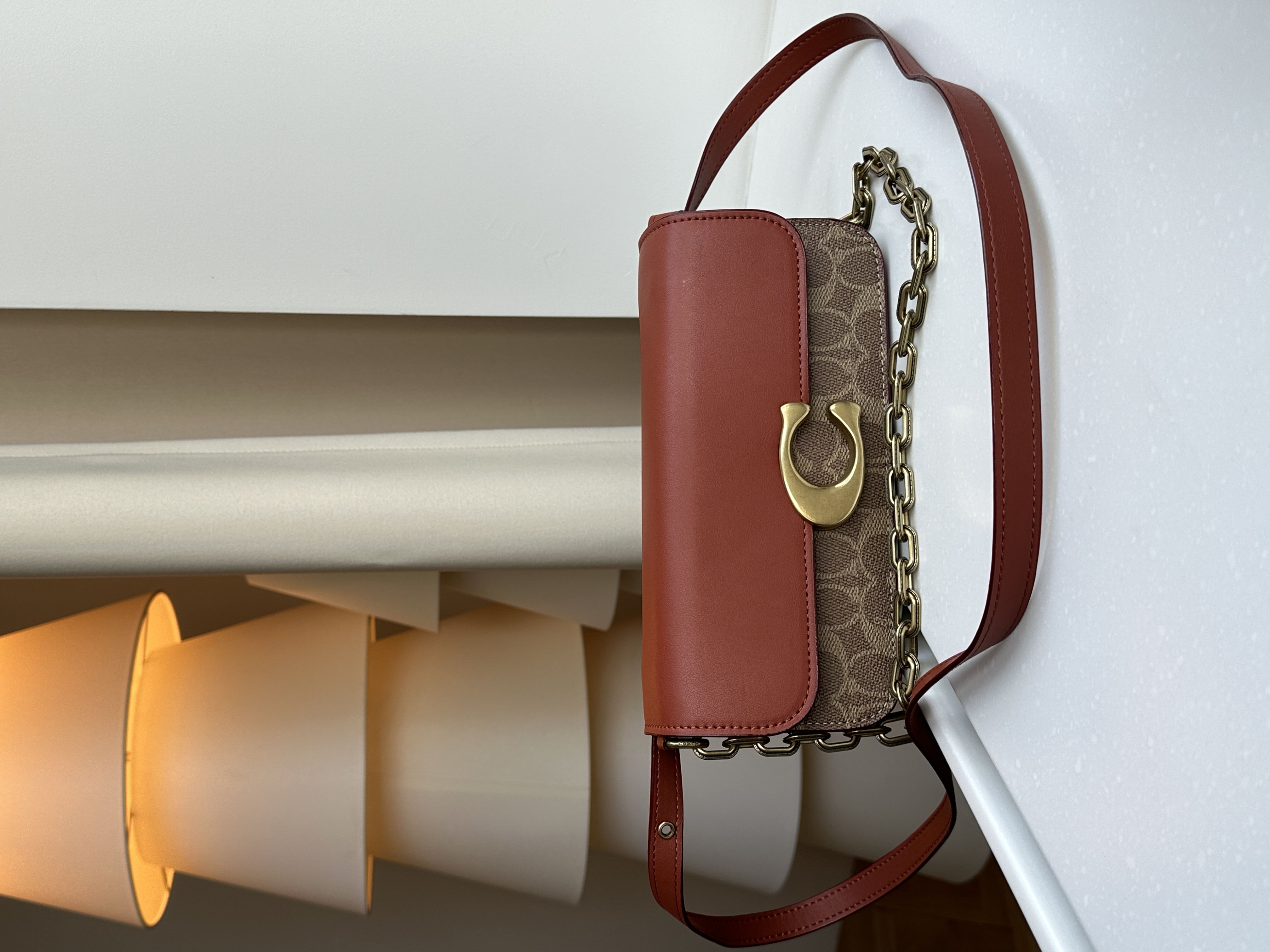 Coach Idol Bag 23 In Signature Canvas With Snakeskin Detail
