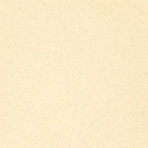 LT0010