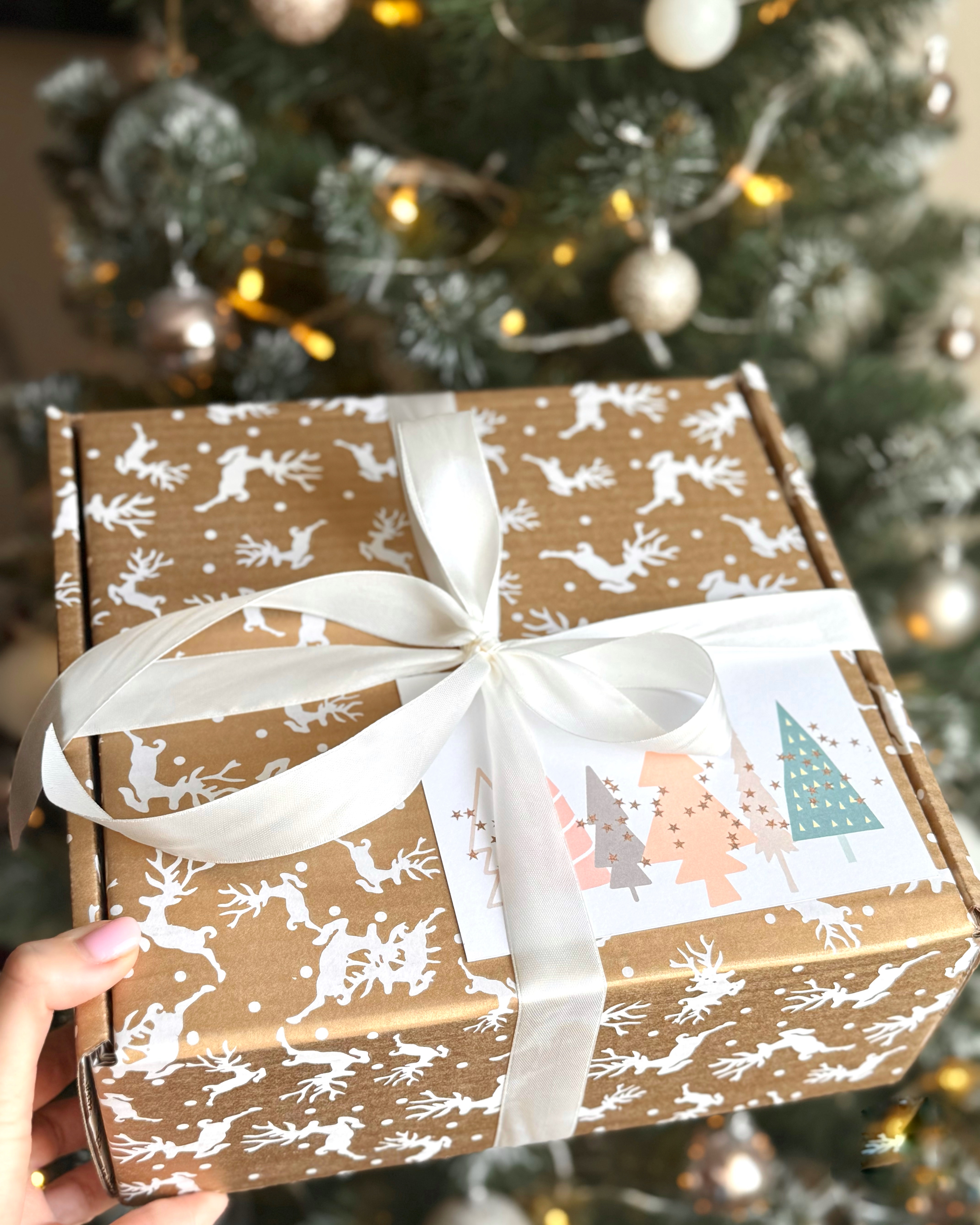 1.бокс № 11.6 - (різдвяний+обійми в повітрі+затишнй дім+сірники "мрій люби запалюй")