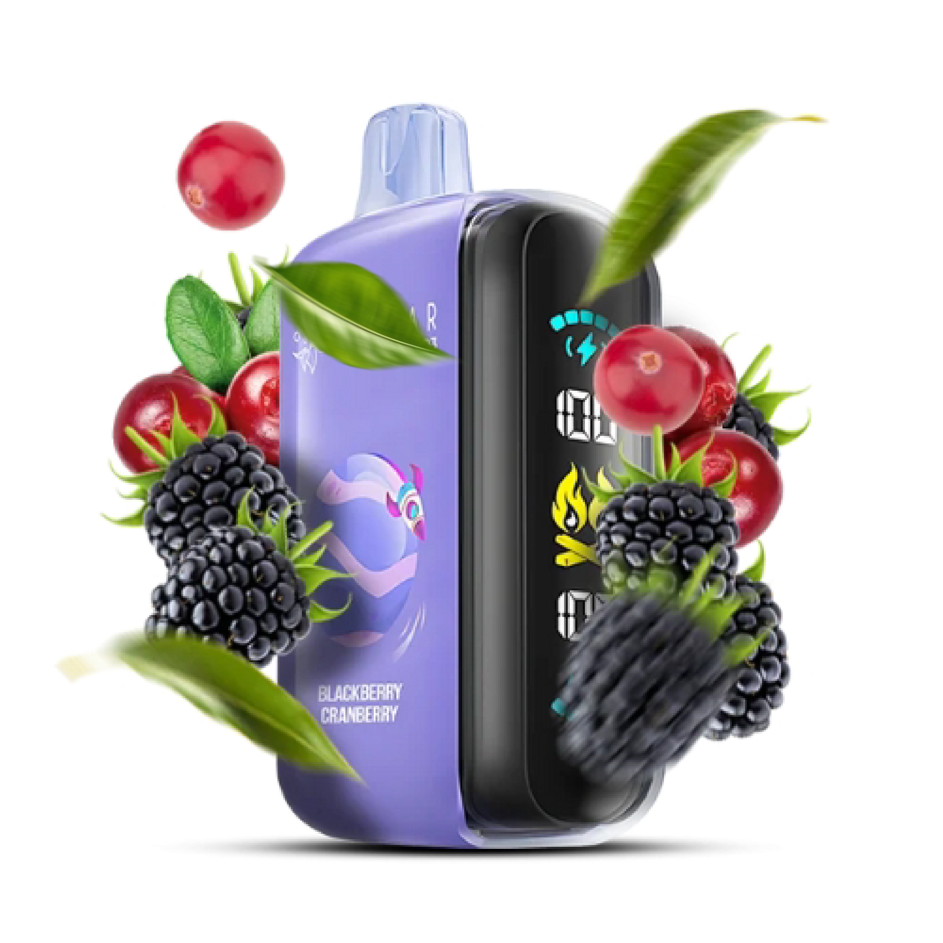 ELF BAR RAYA D3 25000 Blackberry Cranberry ( Ожина Журавлина )