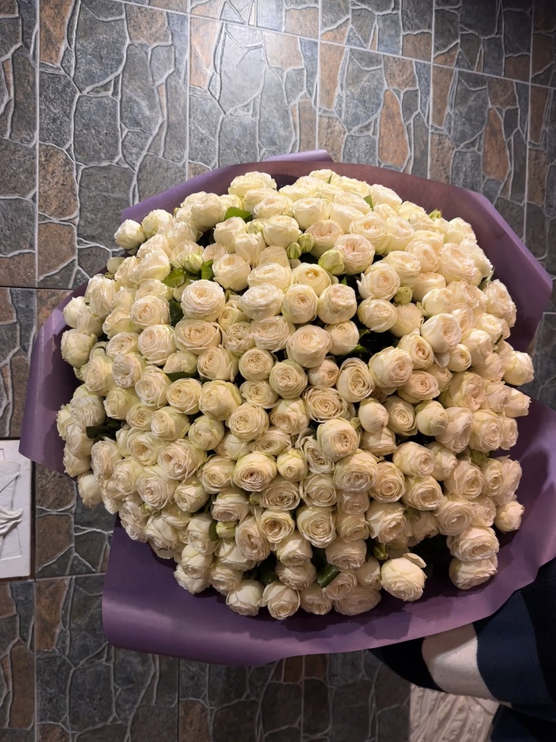 151 гілкова піоновидна троянда "Сноу Ворд"