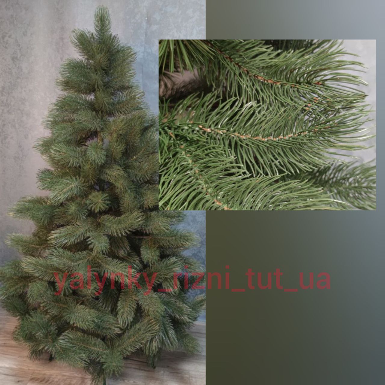 Сосна Лита Зелена