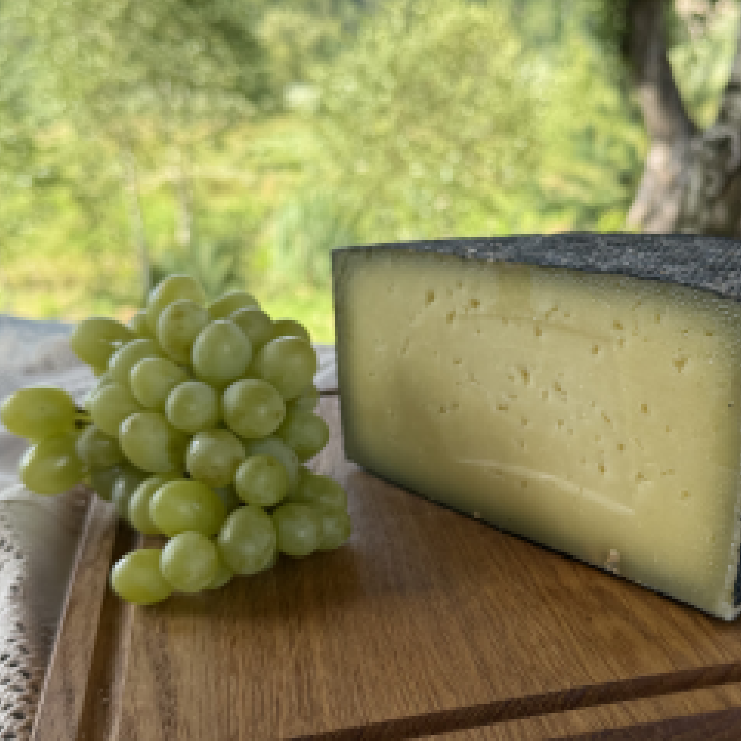 Сир Манчего (Manchego) з овечого молока