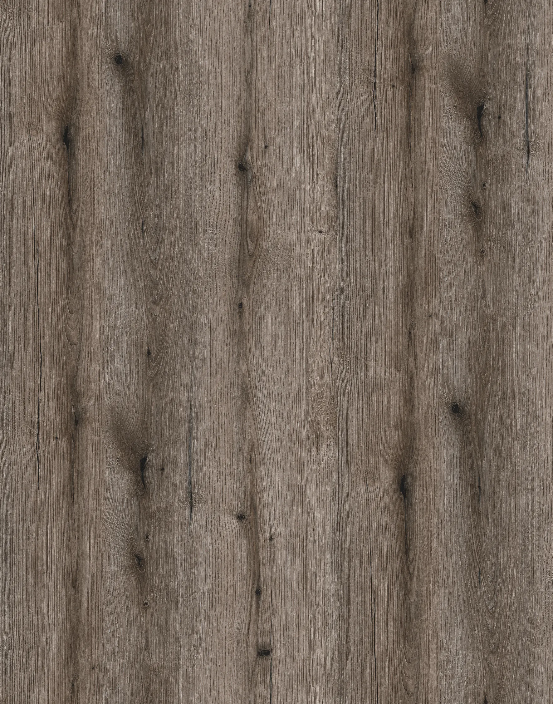 Дуб Евок Закамʼянілий