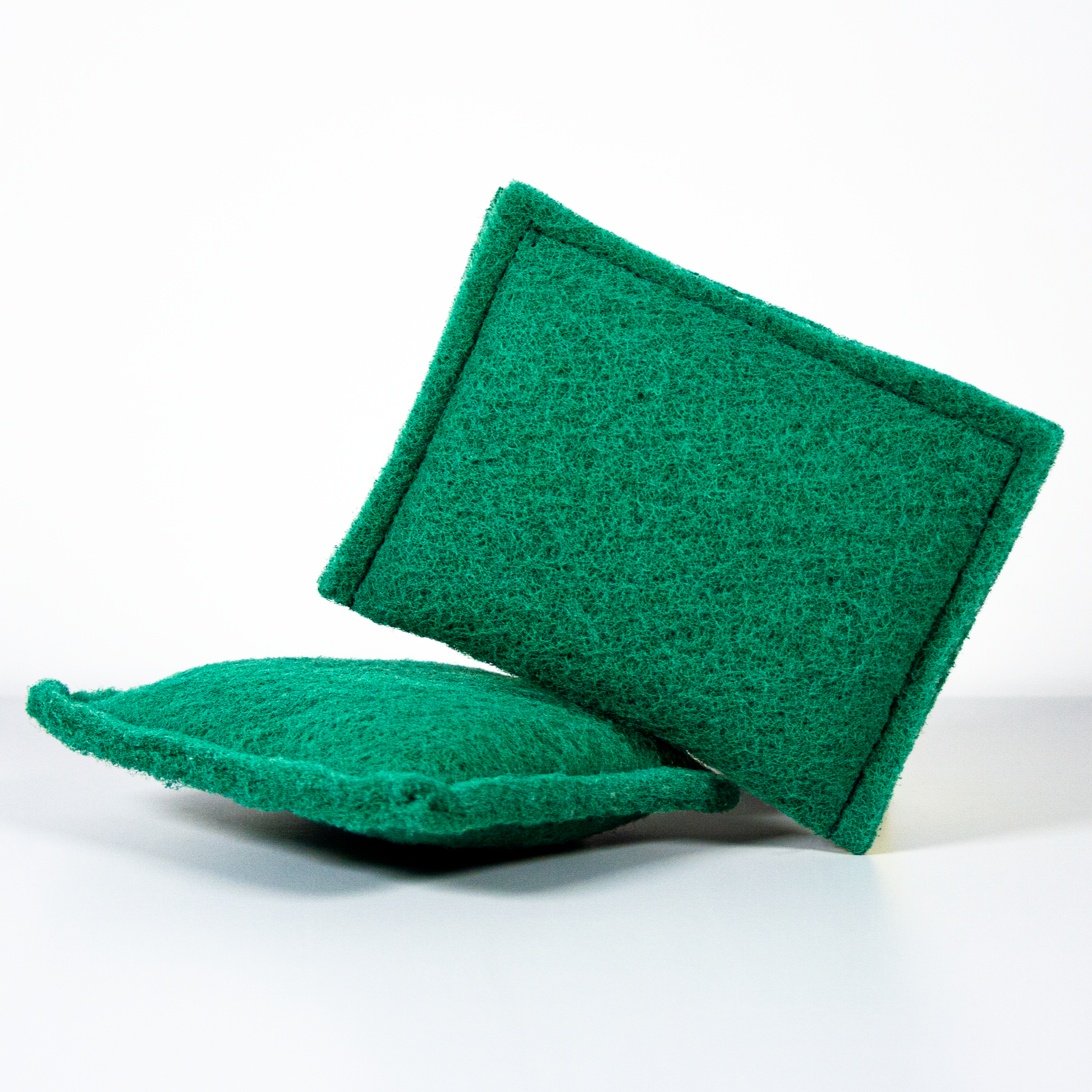 Абразивна губка Pavan Compact Scrub