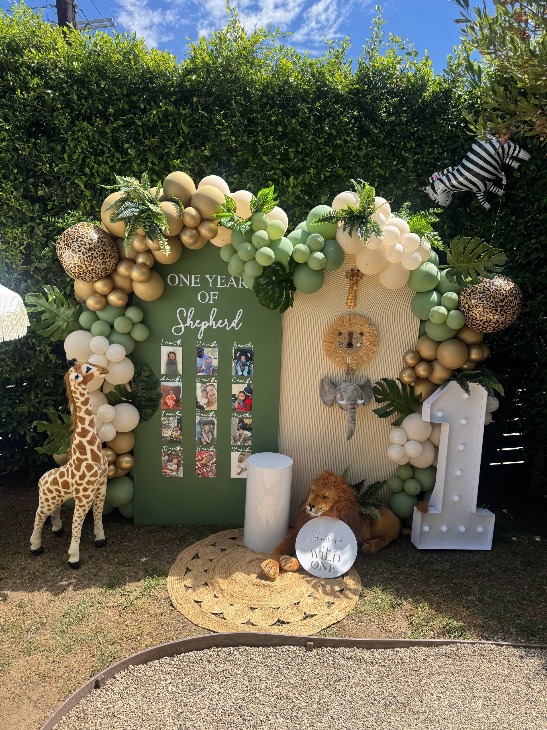 Wild One Safari First Birthday Balloon Backdrop