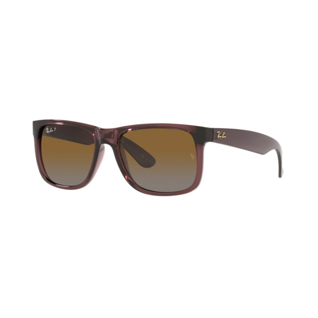 Окуляри сонцезахисні Ray Ban RB 4165 6597T5 55