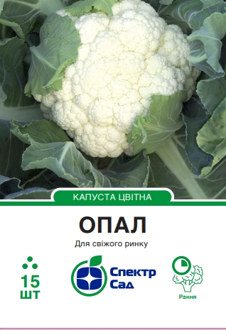 Цвітна капуста Опал, 15 шт