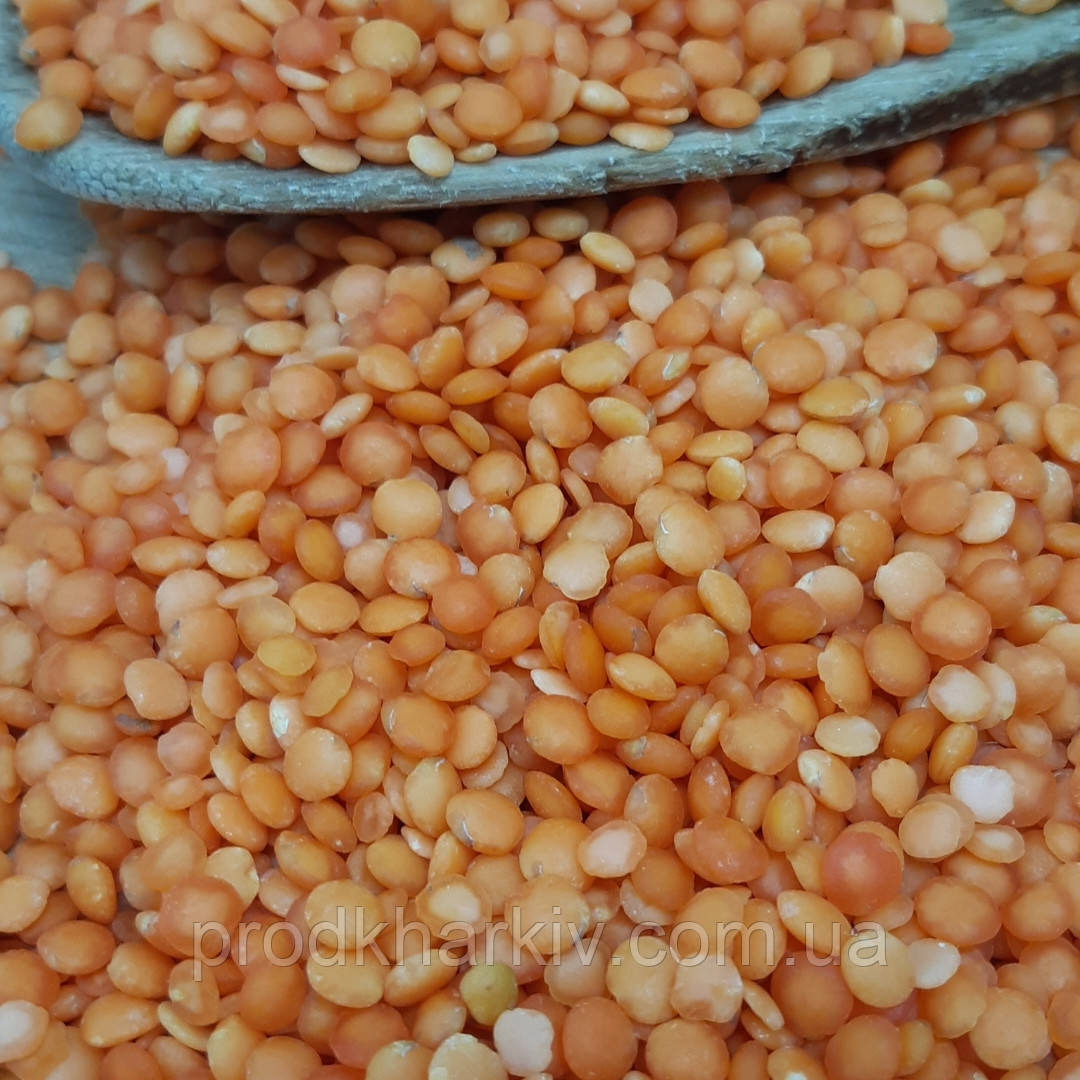 Сочевиця червона 1 кг