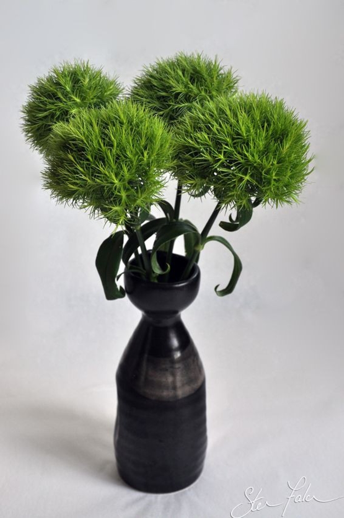 Гвоздика зелена (Dianthus)