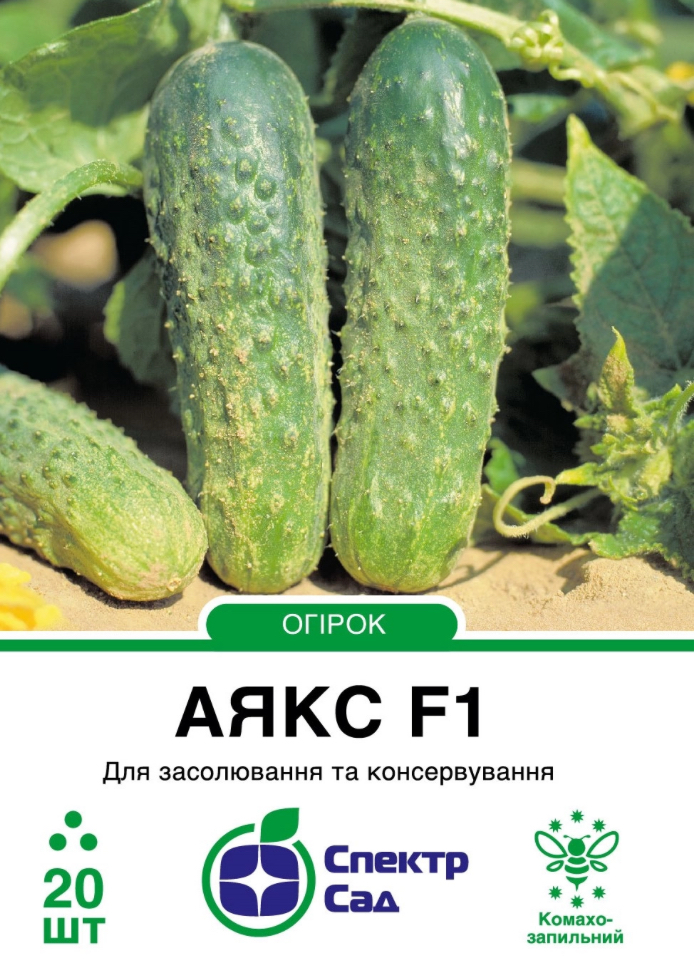 Огірок Аякс F1, 20 шт
