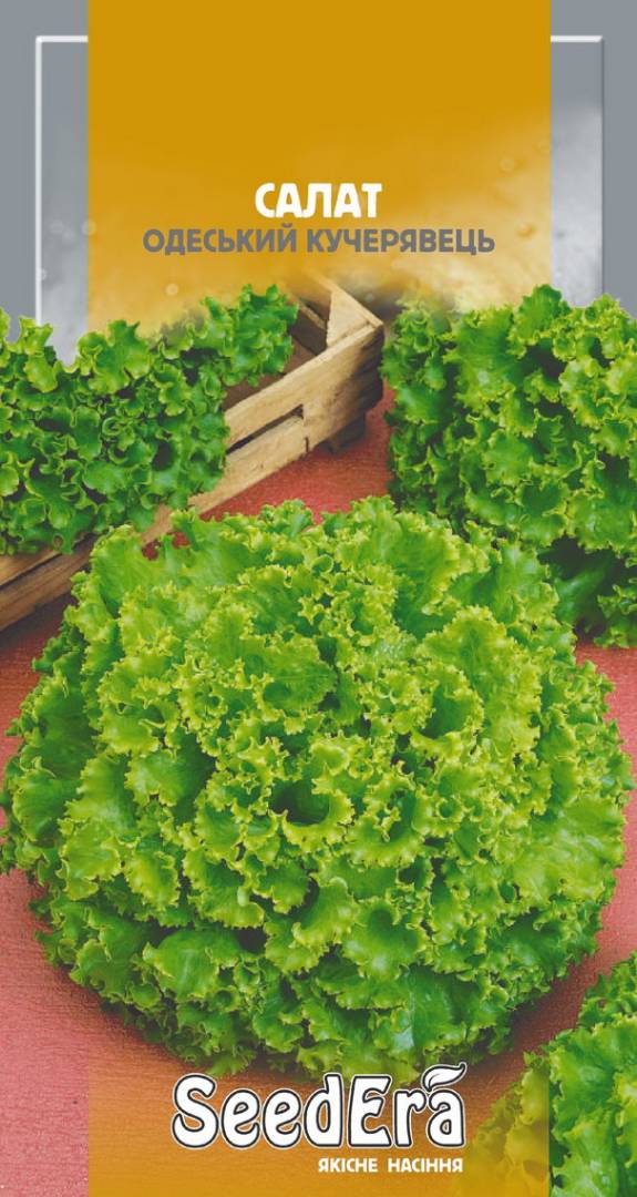 Насіння Салат ОДЕСЬКИЙ КУЧЕРЯВЕЦЬ (листовий), 10 г